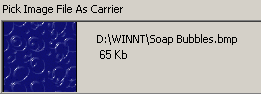 Carrier Image